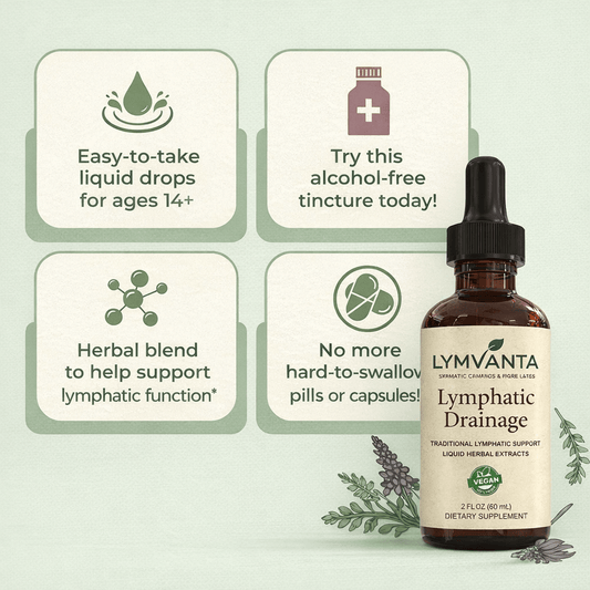 Lymvanta Lymph Drops benefits: easy-to-take liquid drops, alcohol-free, herbal blend for lymphatic support, no pills to swallow