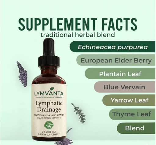 Lymvanta Lymph Drops six traditional herbs: Echinacea, European Elder Berry, Plantain Leaf, Blue Vervain, Yarrow Leaf and Thyme Leaf